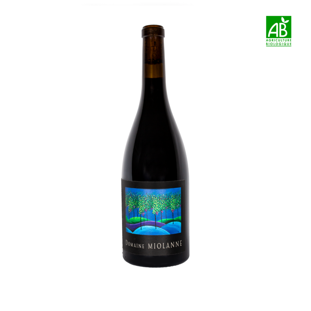 Bouteille de Syrah & Pinot Noir